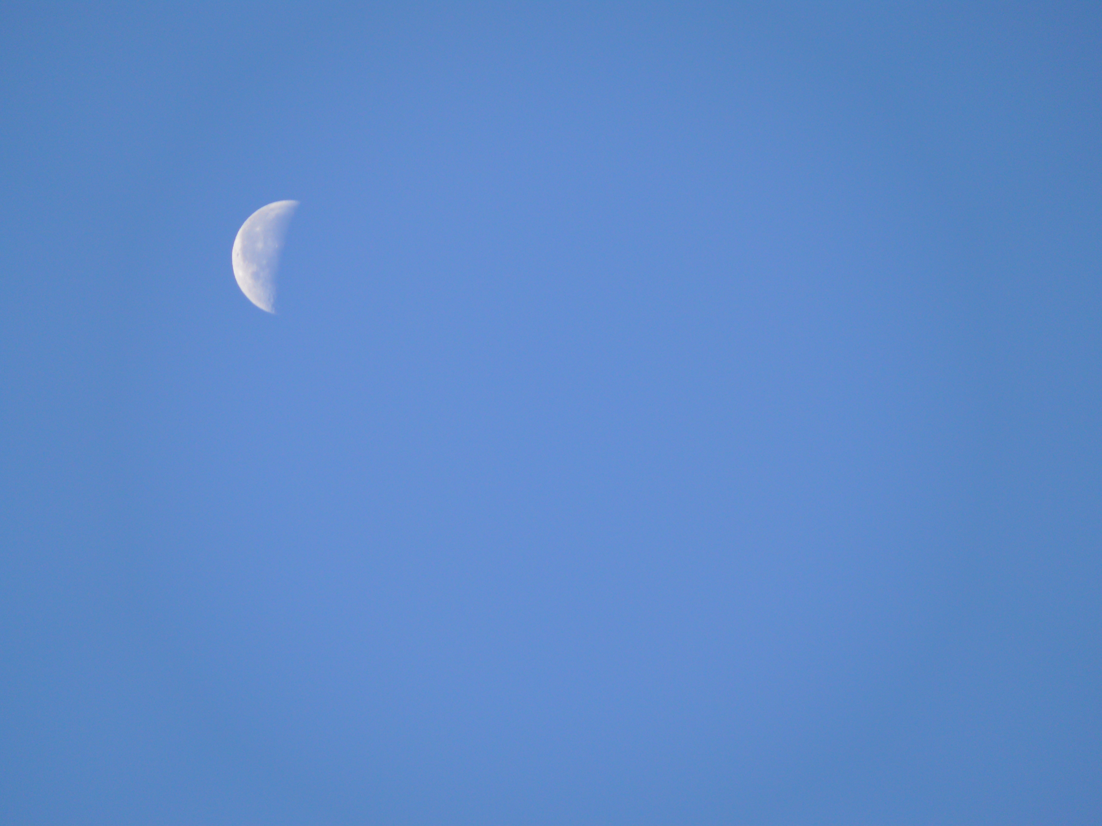 Mond
