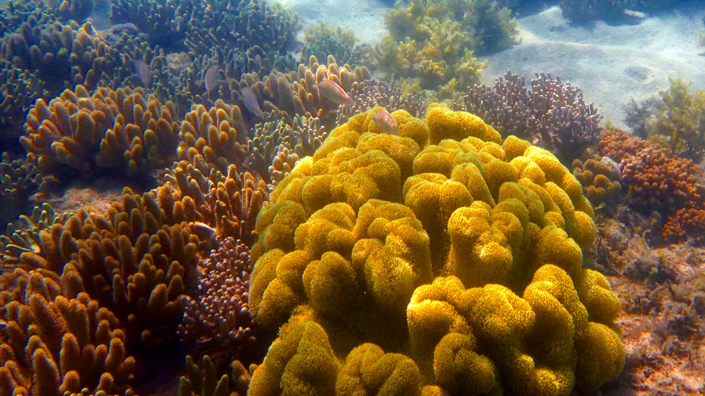 P1010166