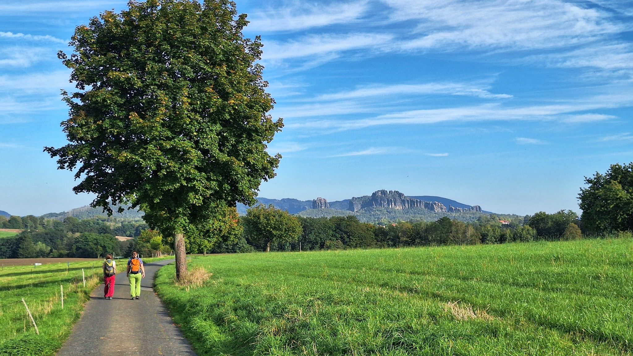42. Radeberger Hüttenlauf: 65 Wanderer auf dem Weg zur Radeberger Hütte